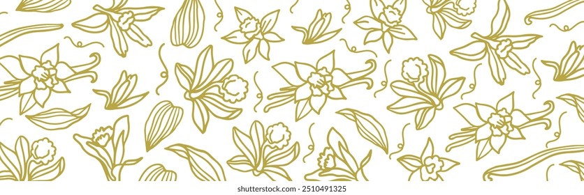 Vetor isolado de baunilha. Padrão. Varas de baunilha, flor de baunilha e vagens. Aroma, comida. Mão desenhada. Vetor mão desenhada ilustração de orquídea Flor e vagens em fundo branco isolado.