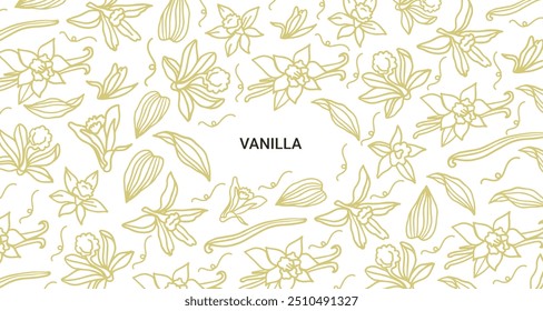 Isolated vector set of vanilla. Pattern. Vanilla sticks, vanilla flower and pods. Aroma, food. Hand drawn. Vector hand drawn illustration of orchid Flower and pods on isolated white background.