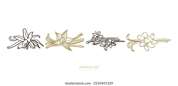 Isolated vector set of vanilla. Pattern. Vanilla sticks, vanilla flower and pods. Aroma, food. Hand drawn. Vector hand drawn illustration of orchid Flower and pods on isolated white background.