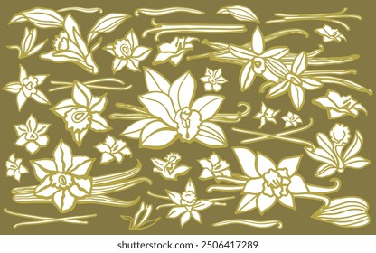 	
Isolated vector set of vanilla. Vanilla sticks, vanilla flower and pods. Aroma, food. Hand drawn. Vector hand drawn illustration of orchid Flower and pods on isolated background.