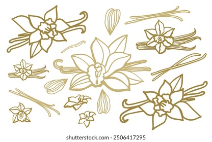 	
Isolated vector set of vanilla. Vanilla sticks, vanilla flower and pods. Aroma, food. Hand drawn. Vector hand drawn illustration of orchid Flower and pods on isolated background.