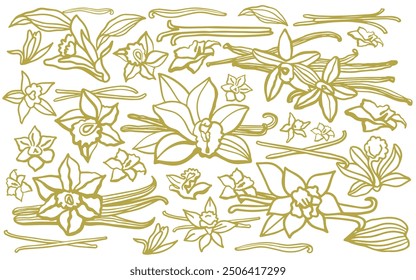 	
Isolated vector set of vanilla. Vanilla sticks, vanilla flower and pods. Aroma, food. Hand drawn. Vector hand drawn illustration of orchid Flower and pods on isolated background.