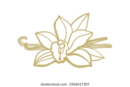 	
Isolated vector set of vanilla. Vanilla sticks, vanilla flower and pods. Aroma, food. Hand drawn. Vector hand drawn illustration of orchid Flower and pods on isolated background.