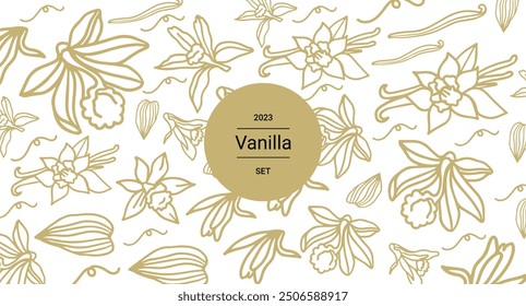 Isolated vector set of vanilla. Vanilla sticks, vanilla flower and pods. Aroma, food. Hand drawn. Vector hand drawn illustration of orchid Flower and pods on isolated background.