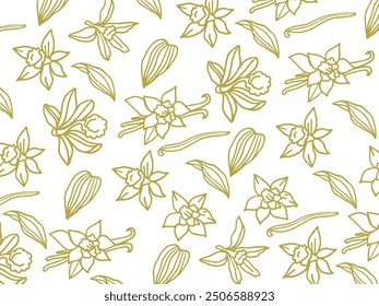 Isolated vector set of vanilla. Vanilla sticks, vanilla flower and pods. Aroma, food. Hand drawn. Vector hand drawn illustration of orchid Flower and pods on isolated background.