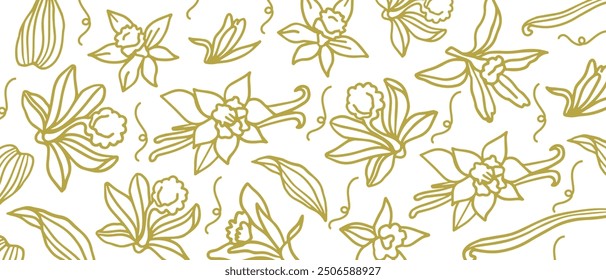 Isolated vector set of vanilla. Vanilla sticks, vanilla flower and pods. Aroma, food. Hand drawn. Vector hand drawn illustration of orchid Flower and pods on isolated background.