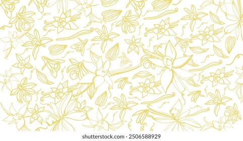 Isolated vector set of vanilla. Vanilla sticks, vanilla flower and pods. Aroma, food. Hand drawn. Vector hand drawn illustration of orchid Flower and pods on isolated background.