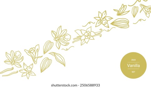 Isolated vector set of vanilla. Vanilla sticks, vanilla flower and pods. Aroma, food. Hand drawn. Vector hand drawn illustration of orchid Flower and pods on isolated background.