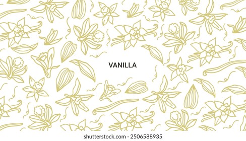 Isolated vector set of vanilla. Vanilla sticks, vanilla flower and pods. Aroma, food. Hand drawn. Vector hand drawn illustration of orchid Flower and pods on isolated background.