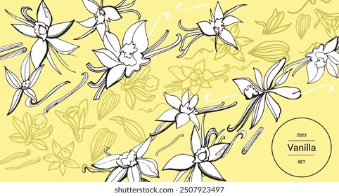 Isolated vector set of vanilla. Vanilla sticks, vanilla flower and pods. Aroma, food. Hand drawn. Vector hand drawn illustration of orchid Flower and pods on isolated background.