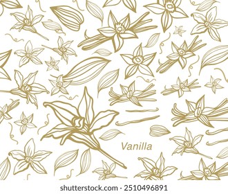 Isolated vector set of vanilla. Vanilla sticks, vanilla flower and pods. Aroma, food. Hand drawn. Vector hand drawn illustration of orchid Flower and pods on isolated background.