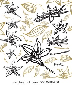 Vetor isolado de baunilha. Varas de baunilha, flor de baunilha e vagens. Aroma, comida. Mão desenhada. Vetor mão desenhada ilustração de orquídea Flor e vagens em fundo isolado.