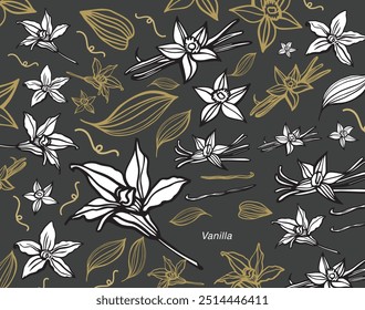 Vetor isolado de baunilha. Varas de baunilha, flor de baunilha e vagens. Aroma, comida. Mão desenhada. Vetor mão desenhada ilustração de orquídea Flor e vagens em fundo isolado.