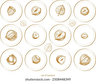 Isolated vector set of walnuts in vintage style. Hand drawn leaves and natural healthy food nut pieces collection. Diet snack vector illustration. Ingredient for nut butter and paste.
