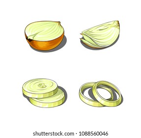 Isolated vector set of white onion cut in pieces