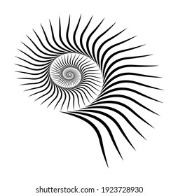 Isolated, vector shape. Black spiral rotating on a white background. Hypnotic effect. Sea fogura shells eps10.