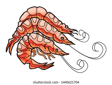 Isolated vector shrimp on white background cartoon character. Illustration for web site page and mobile app design