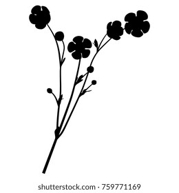 Isolated vector silhouette of a buttercup flower.