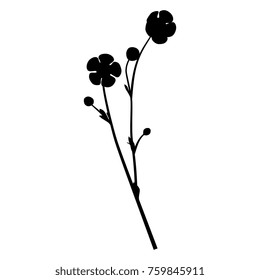 Isolated vector silhouette of a buttercup flower.