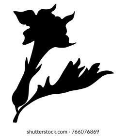 Isolated vector silhouette of Datura flower. Thorn-apple plant. Datura Stramonium.