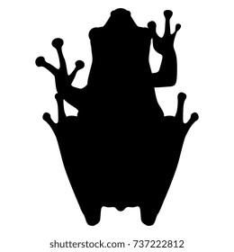 Isolated vector silhouette of exotic tropical frog. Top view.