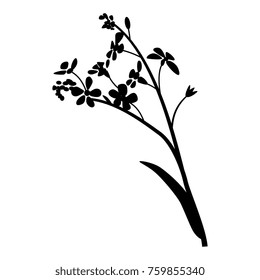 Isolated vector silhouette of a forget-me-not flower.