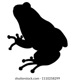 Isolated vector silhouette of a frog. (Hyla arborea).