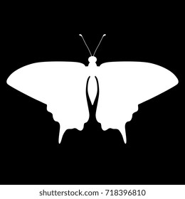 Isolated vector silhouette of machaon butterfly. White on black background.