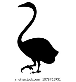 Isolated vector silhouette of a striding swan.