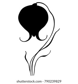 Isolated vector silhouette of stylized wild flower. Based on ancient Greek vase painting image.