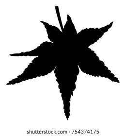 Isolated vector silhouette of a tree leaf.