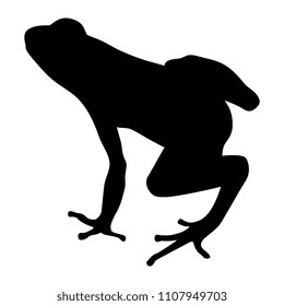 Isolated vector silhouette of a tropical frog. 