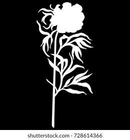 Isolated vector silhouette of a wild peony plant. Paeonia anomala. Cute floral motif. White on black background.