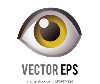 The Isolated Vector Single Human Eye, Looking Forward Icon