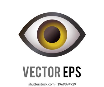 The Isolated Vector Single Human Eye, Looking Forward Icon