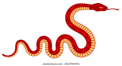 Isolated vector snake illustration, chinese year of the snake