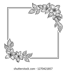 Isolated vector square frame with flowers. Hand drawing black and white  floral illustration. Vintage botanical sketch. Wedding invitation