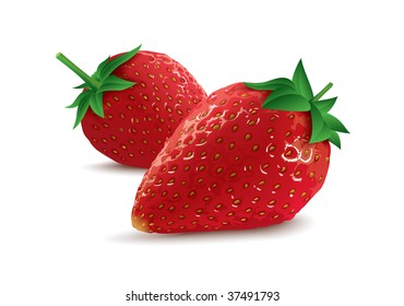 isolated vector strawberries