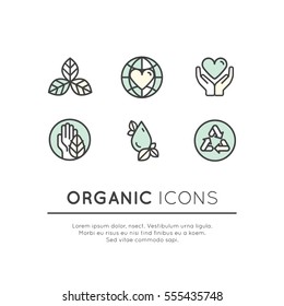 Isolated Vector Style Illustration Logo Set Badge Fresh Organic, Eco Product, Bio Ingredient Label Badge with Leaf, Earth, Green Concept