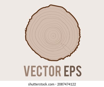 The isolated vector tree with woodgrain ring natural texture from top view