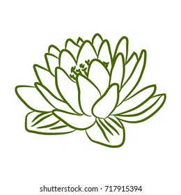Isolated vector water lily. Outline green illustration