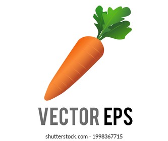 The isolated vector whole bright orange carrot icon, topped with long green leaves, as if freshly plucked from the garden