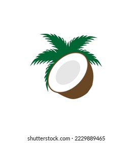 isolated vector of whole coconut, coconut halves and palm leaves