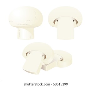 An isolated vector whole mushroom, a half, and a stack of slices