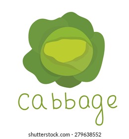 Isolated vegetable. Doodle cabbage. Can be used for children
