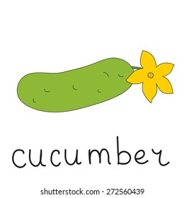 Isolated vegetable. Doodle cucumber. Can be used for children