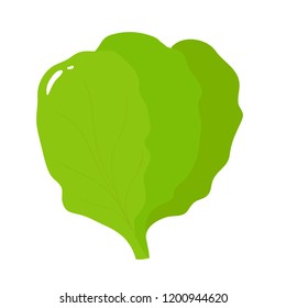 Isolated vegetable. Doodle salad. Can be used for childrens education