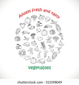 Isolated vegetables in a circle. Vector illustration for your design