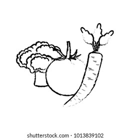 Isolated vegetables design