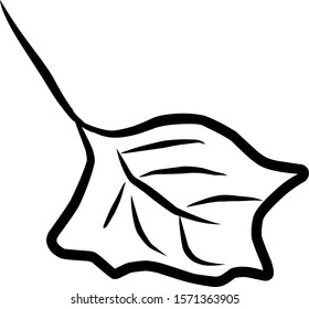 isolated vine leaf icon against a white background